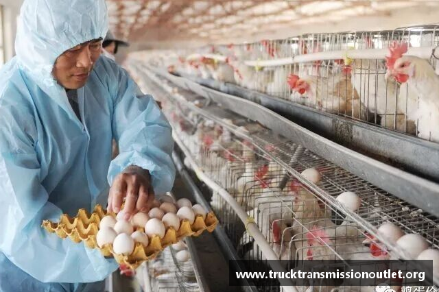 请问在农村办一个养鸡场养10000只蛋鸡，大概要投资多少钱？(开发一个商城app需要多少钱？)